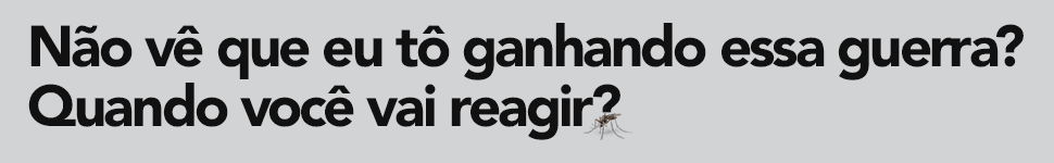 CAMPANHA DENGUE - GOVERNO MS