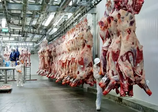 Exportações de carne bovina colocam Mato Grosso do Sul em destaque no mercado internacional em 2026 (Foto: reprodução)