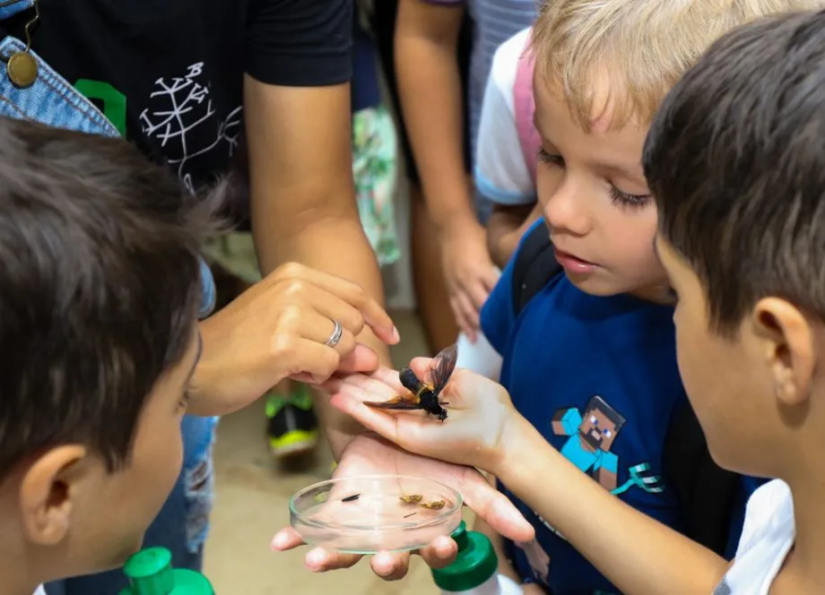 Prefeitura de Três Lagoas promove Semana da Água 2026 com ações educativas e atividades ambientais (Foto: divulgação / PMTL)