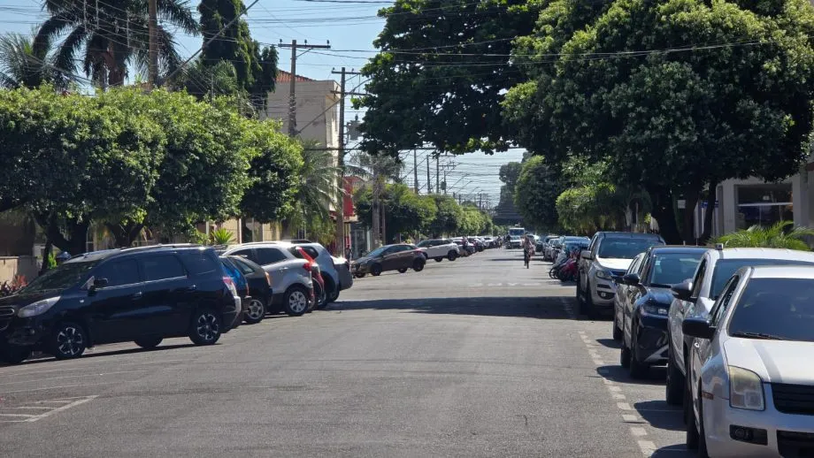 Recapeamento na Rua Oscar Guimarães exige poda de árvores para execução da obra em Três Lagoas (Foto: divulgação / Prefeitura de Três Lagoas)