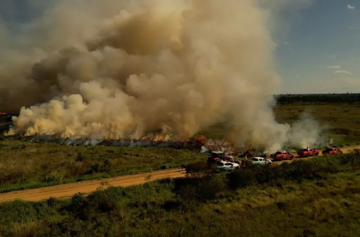 Governo de MS realiza queima prescrita para prevenir incêndios e proteger biomas estaduais