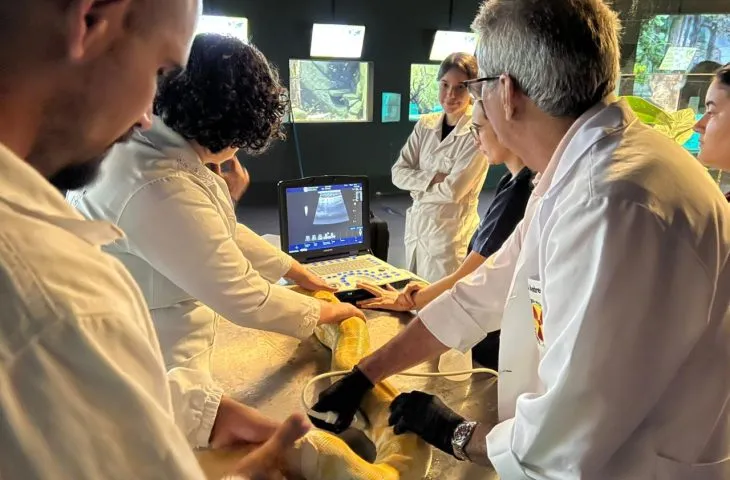 Parceria entre Bioparque Pantanal e UFMS reforça monitoramento de serpentes e arraias em MS