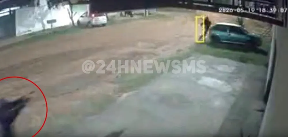 Câmeras de segurança flagraram criminoso armado perseguindo e atirando contra jovem no meio da rua, em Três Lagoas (Foto: reprodução)