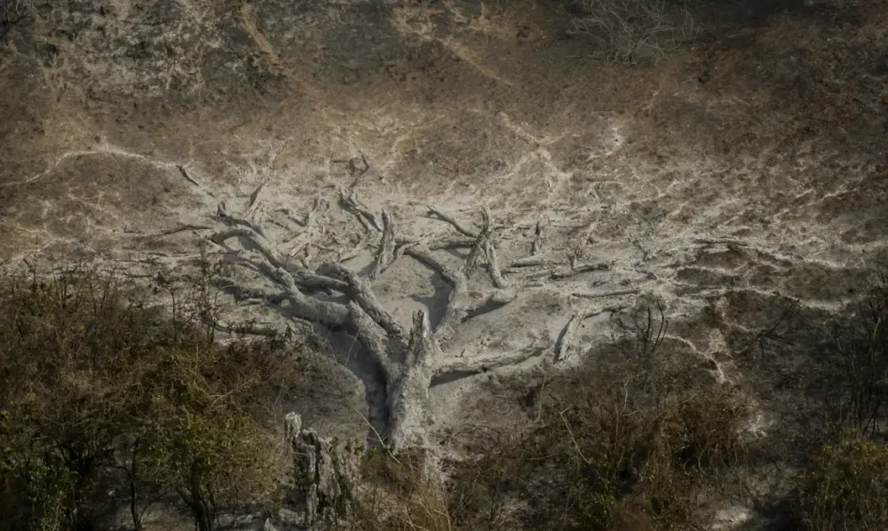 Pesquisa aponta que maioria dos brasileiros já sente impactos das mudanças climáticas no cotidiano (Foto: Joédson Alves / Agência Brasil)