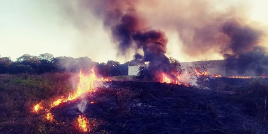 Fiscalização ambiental intensifica ações de combate às queimadas urbanas em Três Lagoas com aumento de autuações e denúncias (Foto: divulgação / Prefeitura de Três Lagoas)
