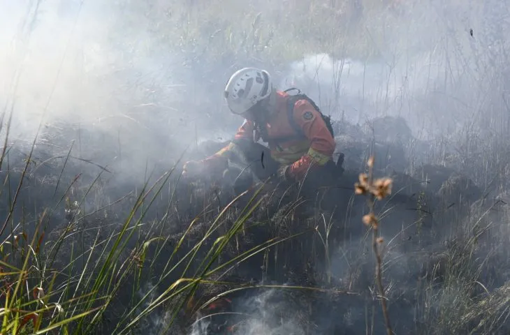 Governo de Mato Grosso do Sul decretou emergência ambiental por 180 dias para reforçar ações preventivas e o combate aos incêndios florestais. (Foto: Ewerton Pereira/Secom-MS)
