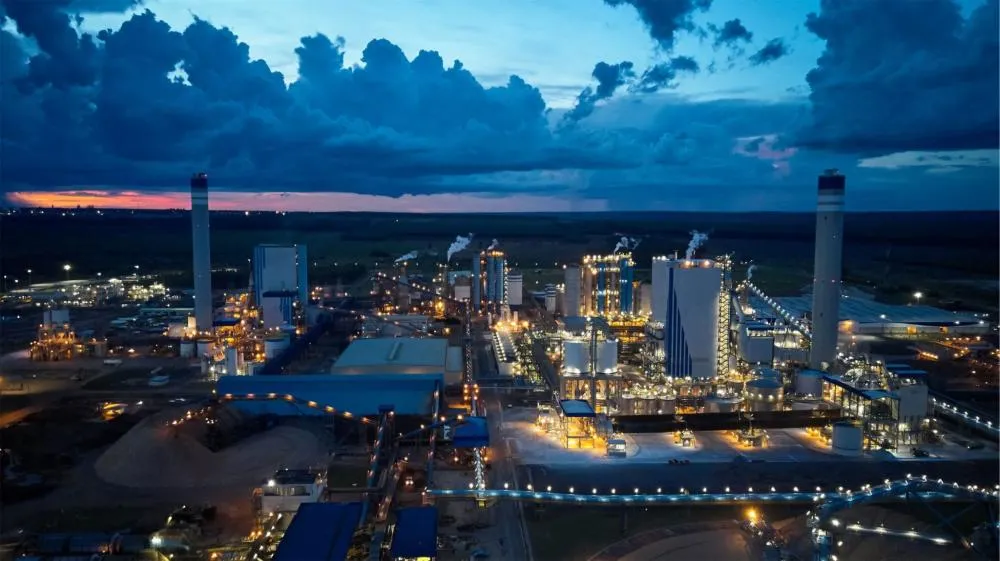 Suzano amplia impacto econômico e fortalece geração de renda na Costa Leste de Mato Grosso do Sul