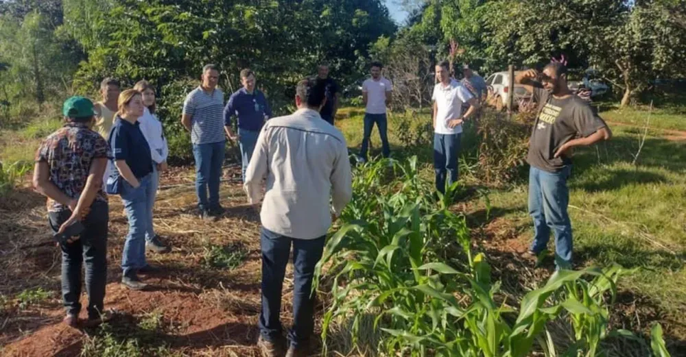 Projetos apoiados pela Suzano ajudam mais de 31 mil pessoas a superar a pobreza em Mato Grosso do Sul