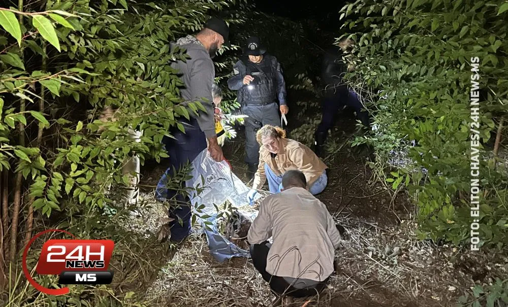 Trabalhador rural encontra ossada humana em floresta de eucalipto na zona rural de Três Lagoas