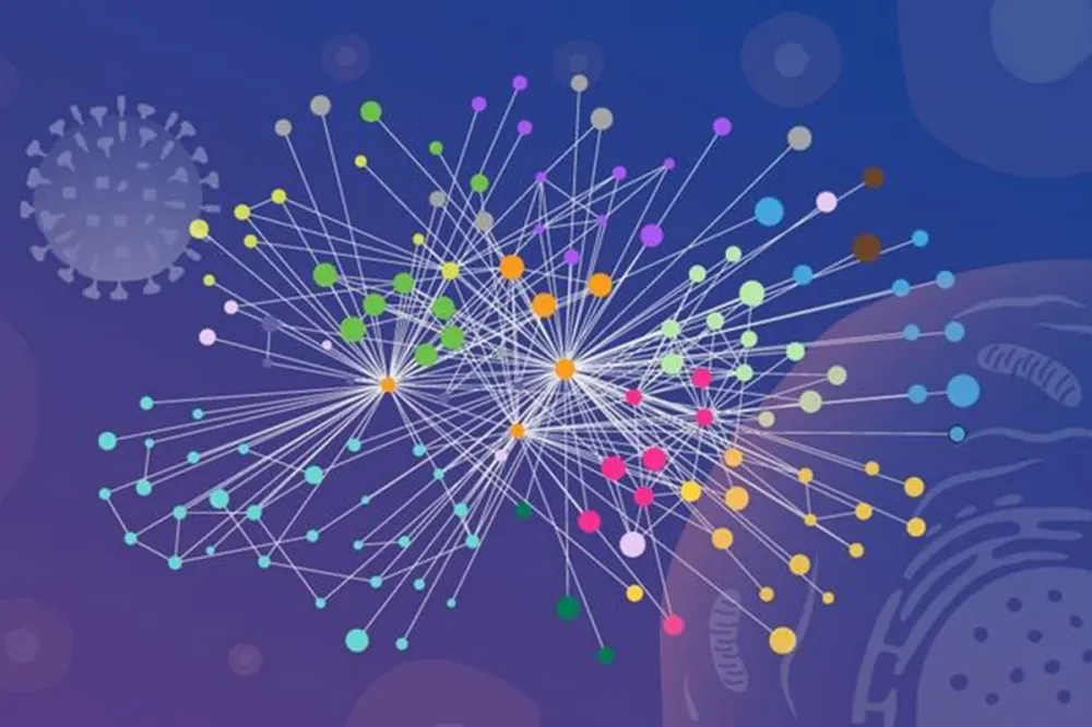 Pesquisa internacional revelou como o vírus da gripe modifica células humanas para favorecer sua multiplicação. (Foto: Reprodução/Daniela Velasco/EMBL)