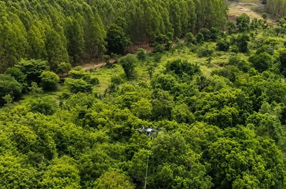 Uso de drones durante a instalação da linha de transmissão do Projeto Sucuriú ajudou a preservar mais de 33 hectares de vegetação nativa em Mato Grosso do Sul. (Foto: Arauco Brasil)