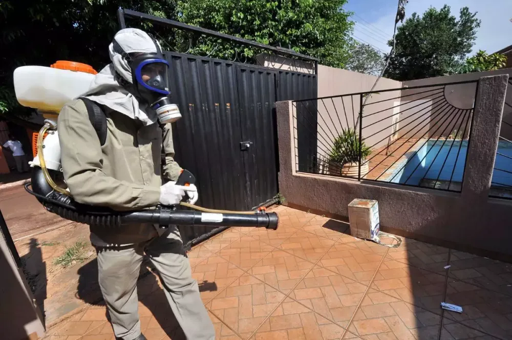 Mato Grosso do Sul registra o ano mais letal da história da chikungunya, com 28 mortes confirmadas até julho de 2026. (Foto: Reprodução)