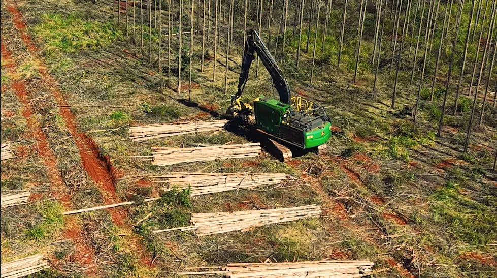 Arauco abriu inscrições para o programa Colheita de Talentos, que oferece capacitação gratuita e bolsa-auxílio de R$ 1.500 para futuros operadores e mecânicos florestais. (Foto: Divulgação/Arauco)