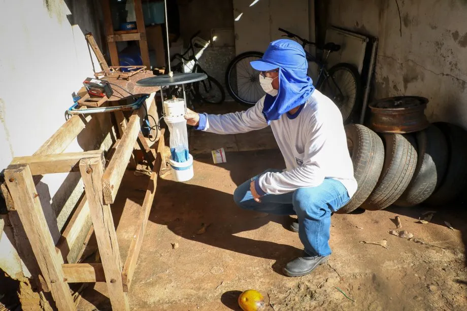 Três Lagoas mantém ações de prevenção e controle da leishmaniose visceral, com monitoramento do mosquito-palha e cuidados com animais. (Foto: Prefeitura de Três Lagoas)