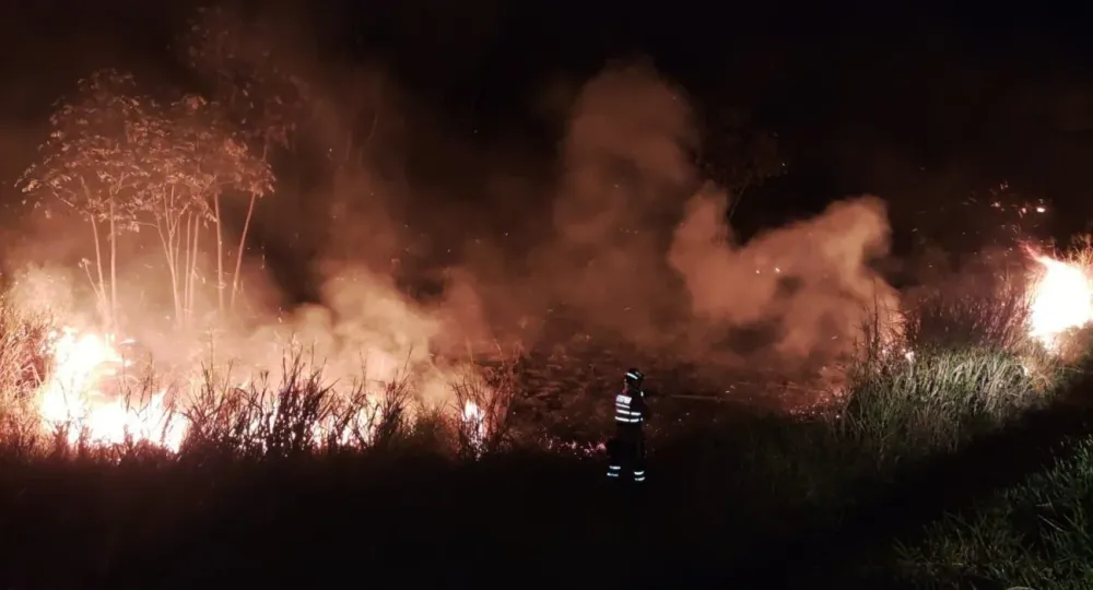 Calorão à vista, El Niño aumenta risco de temperaturas extremas e incêndios em MS
