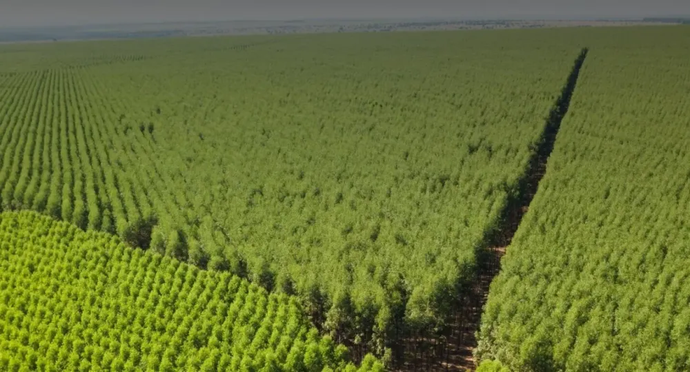 Eldorado expõe pegada de carbono e transforma emissões em estratégia industrial em Três Lagoas