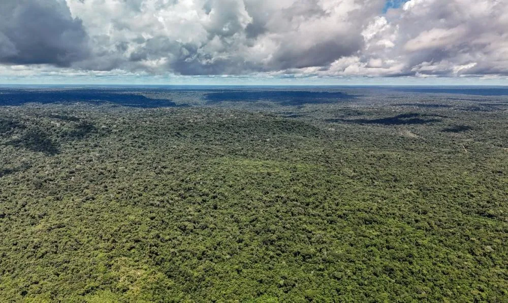 Eco Invest Brasil poderá receber até US$ 1 bilhão em crédito do BID para financiar projetos ligados à transição ecológica. (Foto: Rafa Neddermeyer/Agência Brasil)