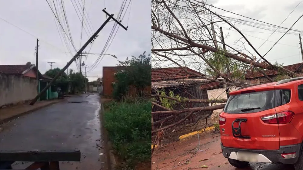 Ventania derruba árvores, entorta poste e danifica fachadas e outdoors em Três Lagoas