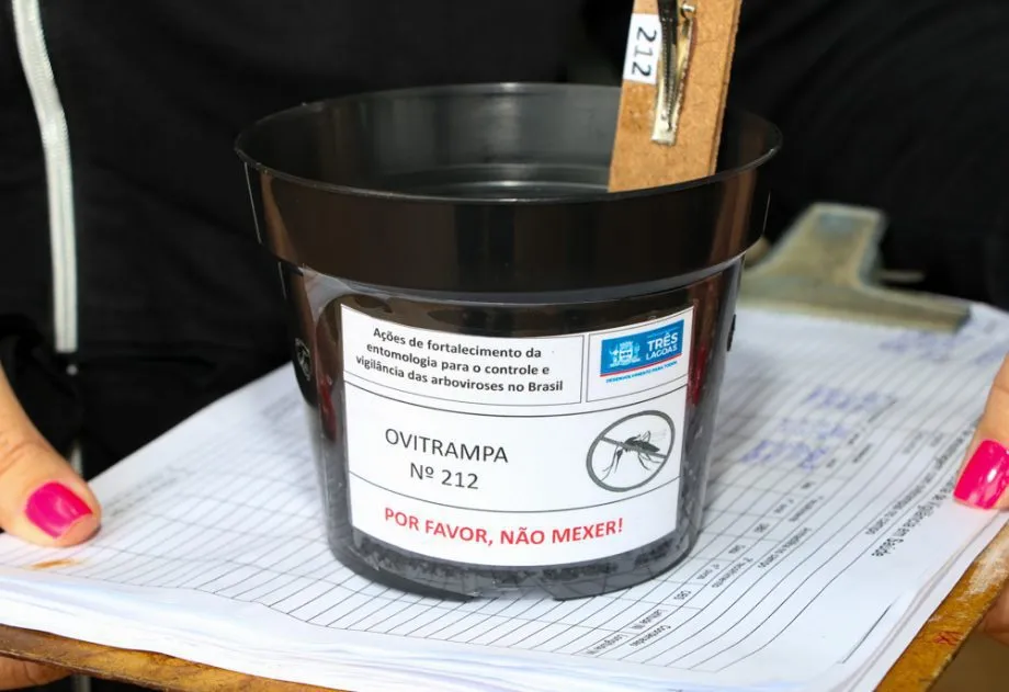 Três Lagoas registra 12.487 ovos de Aedes aegypti coletados em 379 ovitrampas durante monitoramento realizado pela Secretaria Municipal de Saúde. (Foto: Reprodução/Prefeitura de Três Lagoas)