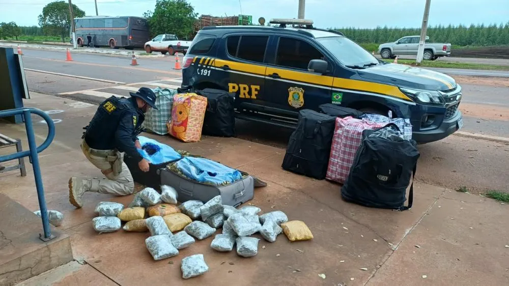 PRF apreende mais de 200 kg de folhas de coca e 40 kg de haxixe em ônibus, e prende duas passageiras, em Três Lagoas