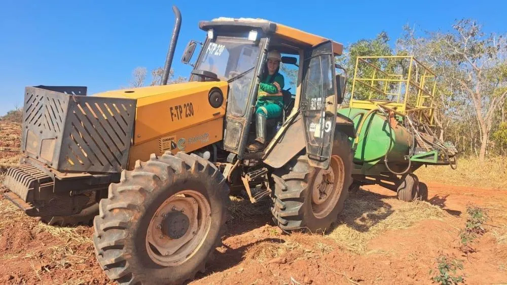 Eldorado Brasil abre vagas na área florestal, com oportunidades para quatro municípios de MS
