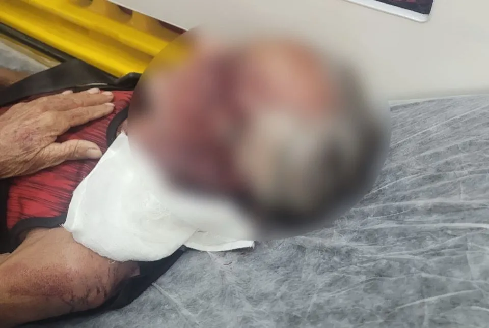 Suspeito foi capturado pelos agentes do SIG e NRI após investigação rápida; idoso foi espancado durante o roubo. (Imagem: Divulgação / Policia Civil)