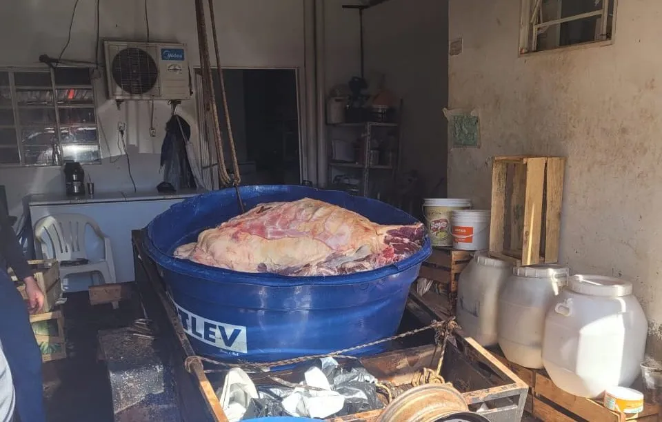  Quase duas toneladas de carne foram encontradas sem higiene, expostas a insetos e armazenadas sem refrigeração adequada. (Divulgação / Policia Civil)