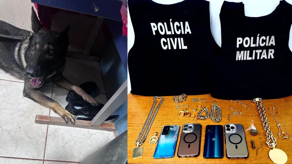Maconha, munições e peças de ouro apreendidas durante cumprimento de mandados em Três Lagoas (Foto: Divulgação / Polícia Civil)