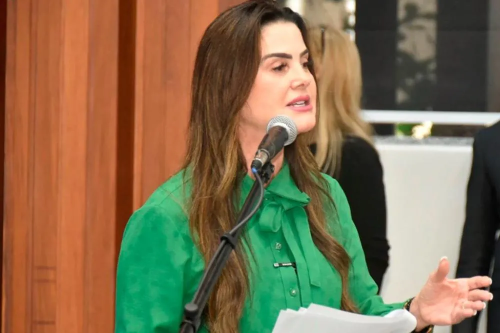 Deputada Mara Caseiro propôs a criação de uma data para honrar a memória das vítimas e conscientizar a população (Foto: Luciana Nassar / ALEMS)