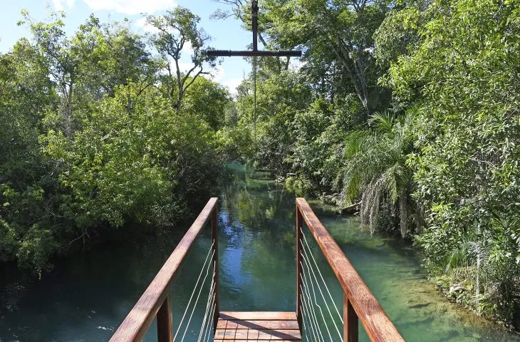 Pantanal e Bonito seguem entre os principais destinos do turismo sul-mato-grossense. (Foto: Agência Brasil)