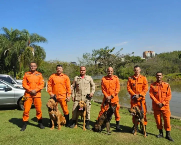 Cães e militares do CBMMS participaram do treinamento intensivo em Indaiatuba (Foto - Corpo de Bombeiros de MS)