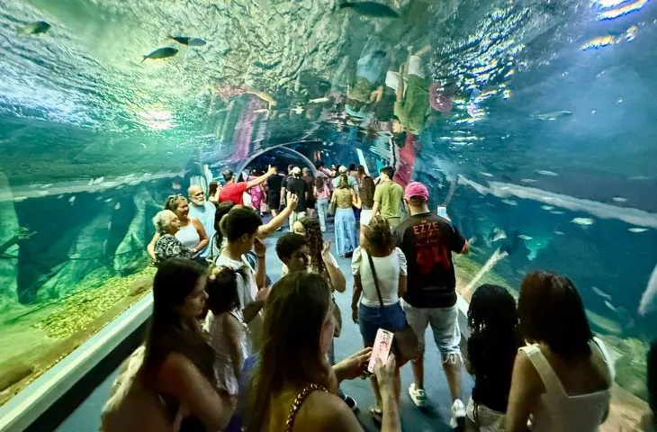 Estrutura do Bioparque Pantanal impressiona visitantes do Brasil e do exterior durante as férias de julho (Foto - Lara Miranda)