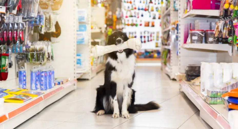PROCON de Três Lagoas divulga pesquisa de preços de produtos para pets em pet shops da cidade (Foto - Prefeitura de Três Lagoas)