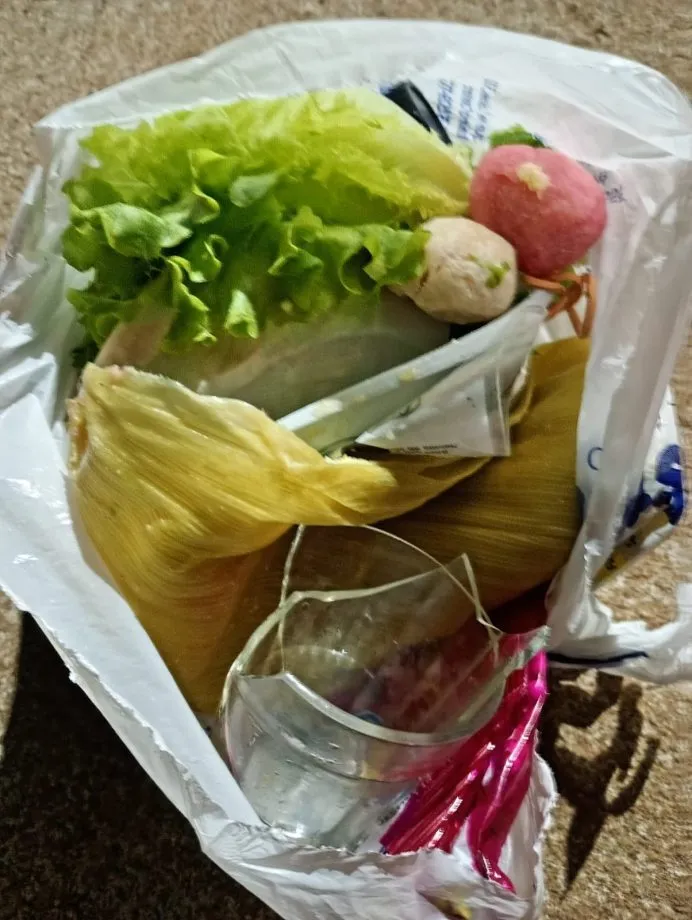 Prefeitura de Três Lagoas reforça a importância do descarte correto de perfurocortantes para proteger a saúde da população e dos trabalhadores (Foto - Prefeitura de Três Lagoas)