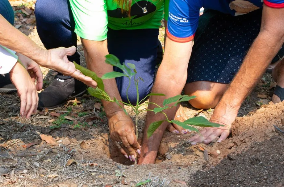 Semana da Árvore terá plantio de mudas e ações de educação ambiental em Três Lagoas (Foto - Prefeitura de Três Lagoas)