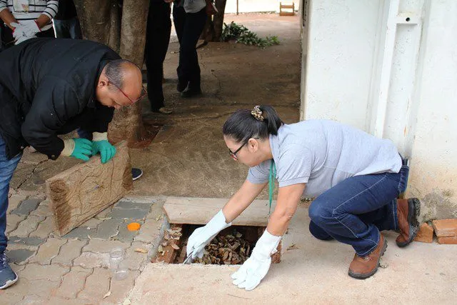 Setores da Saúde intensificam ações de prevenção e orientação sobre animais peçonhentos em Três Lagoas (Foto Divulgação/Prefeitura de Três Lagoas)